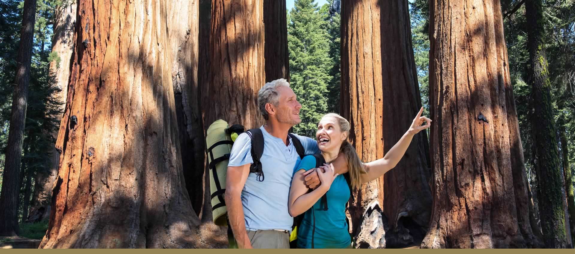 A happy couple strolling through the Redwood forest