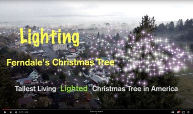 Ferndale Christmas Tree Lighting